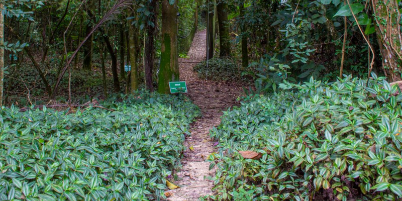 Trilhas Ecológicas - Fazenda Vila Real de Itu