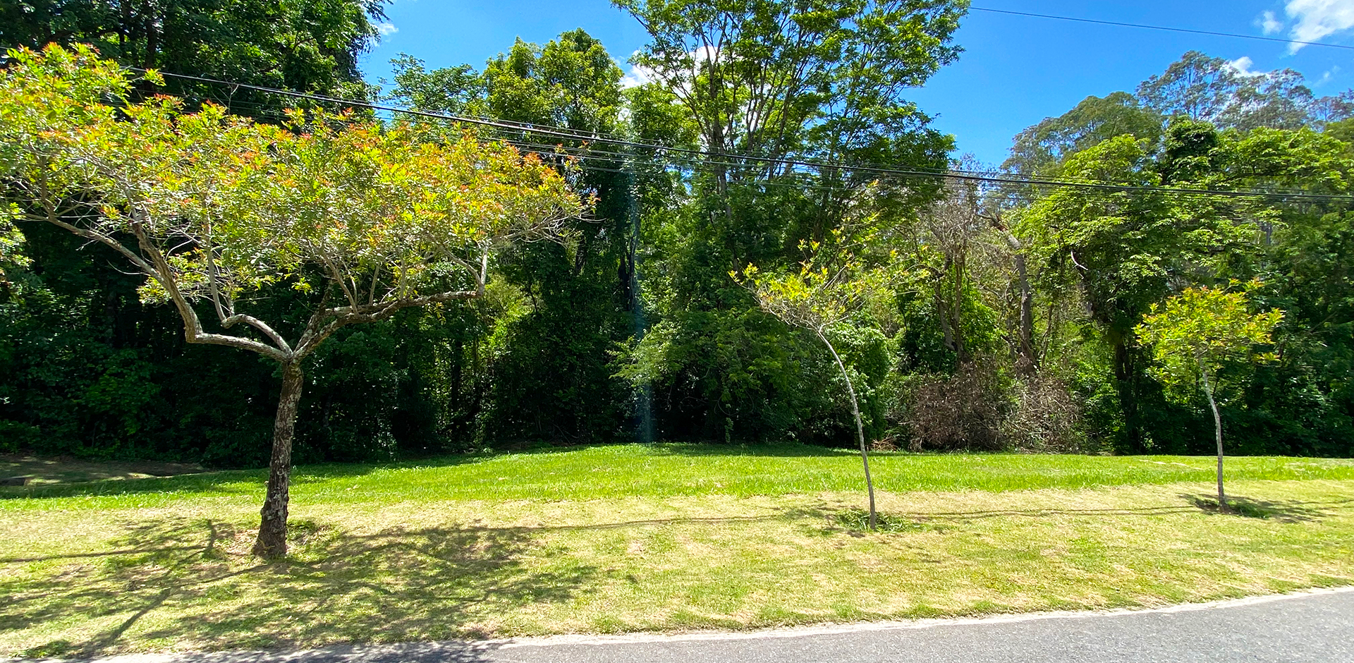 VIVA NA NATUREZA - FAZENDA VILA REAL