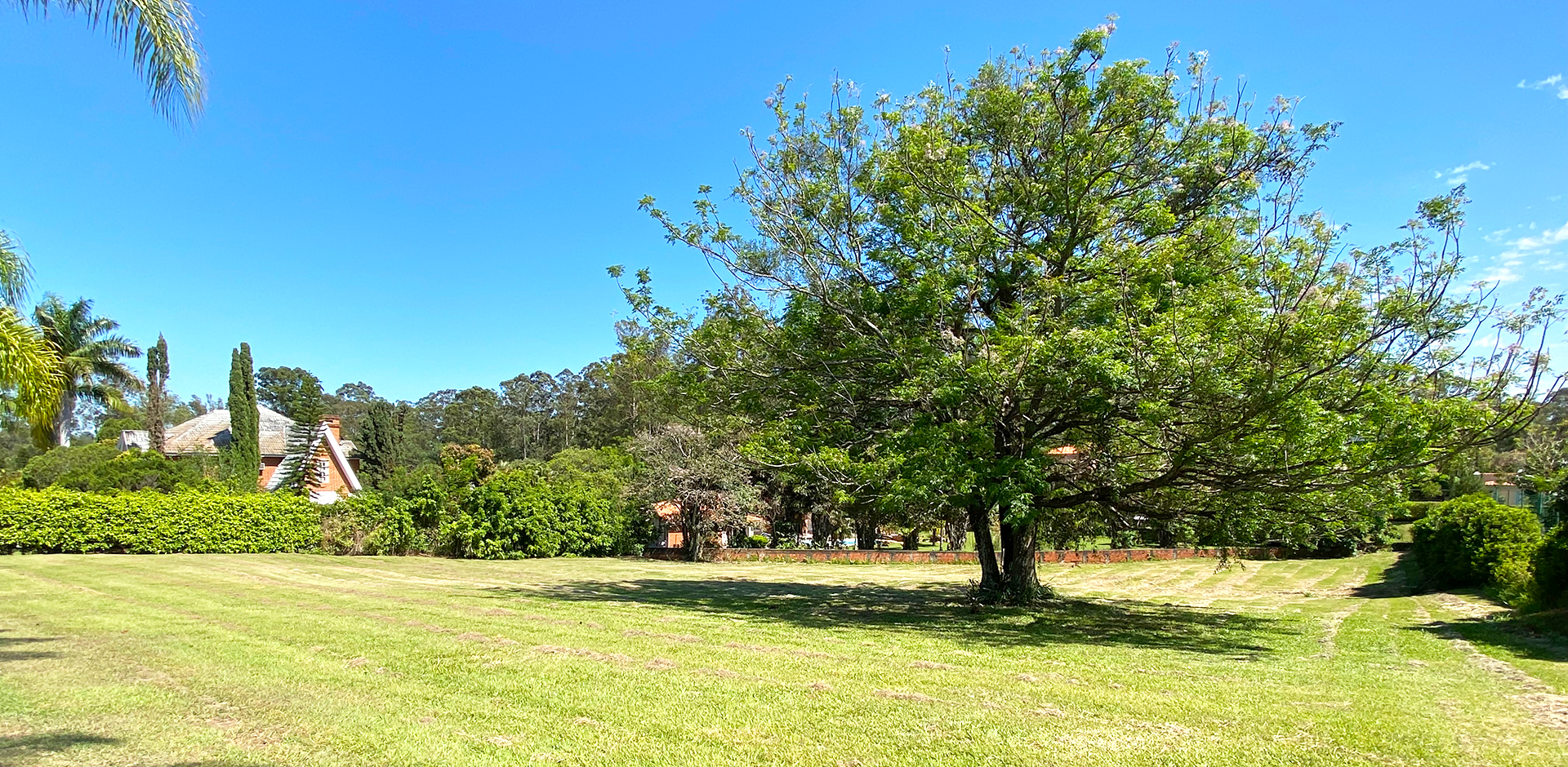 ÓTIMA LOCALIZAÇÃO - FAZENDA VILA REAL