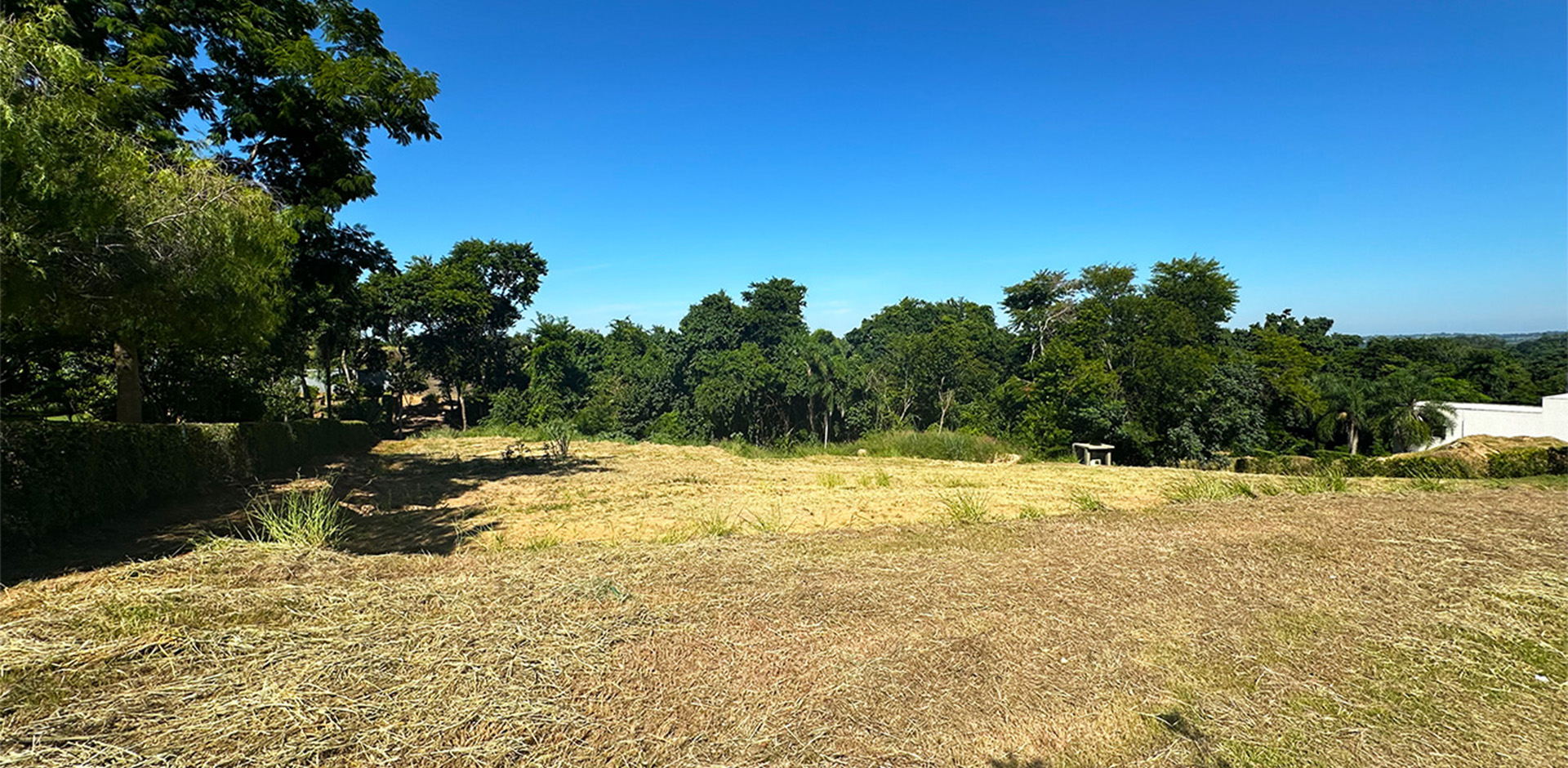 Terreno Fundo Área Verde no Vila Real