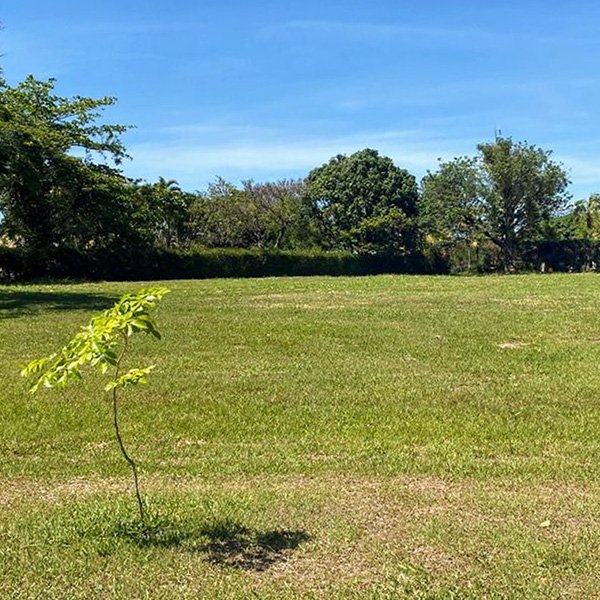 2 LOTES JUNTOS - CONDOMÍNIO VILA REAL