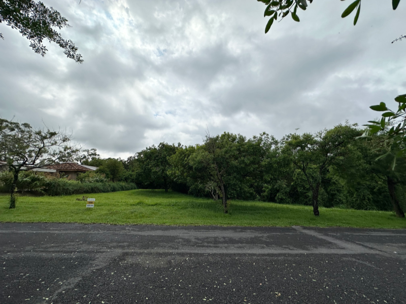 FUNDO PARA RESERVA - FAZENDA VILA REAL