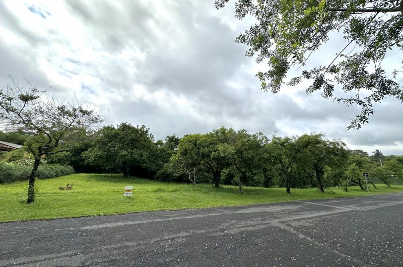 Fundo Para Reserva - Fazenda Vila Real