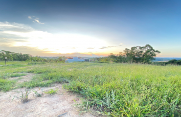 Área verde e pôr do sol