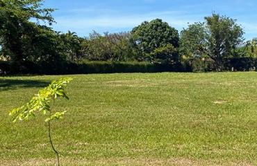 2 LOTES JUNTOS - CONDOMÍNIO VILA REAL