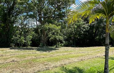 RUA DAS ARAPONGAS - FAZENDA VILA REAL
