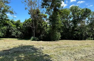 FUNDO PARA ÁREA VERDE - CONDOMÍNIO VILA REAL