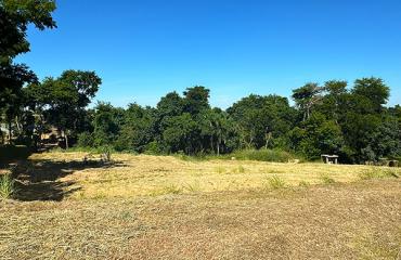 Terreno Fundo Área Verde no Vila Real