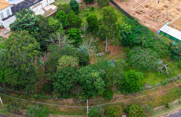 TERRENO PLANO DE ESQUINA - VILA REAL